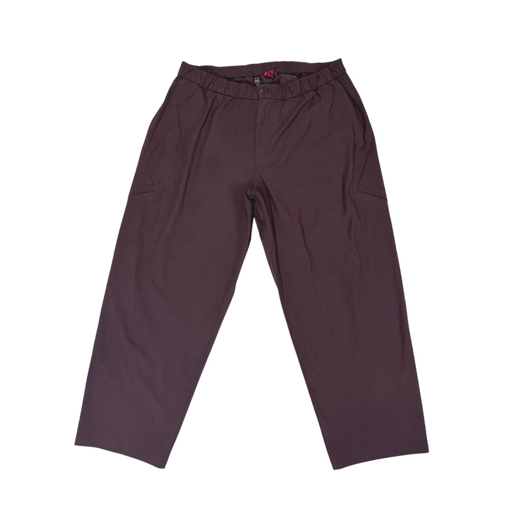 Lululemon Lab Mens‎ Wool-Blend Pant Size 38